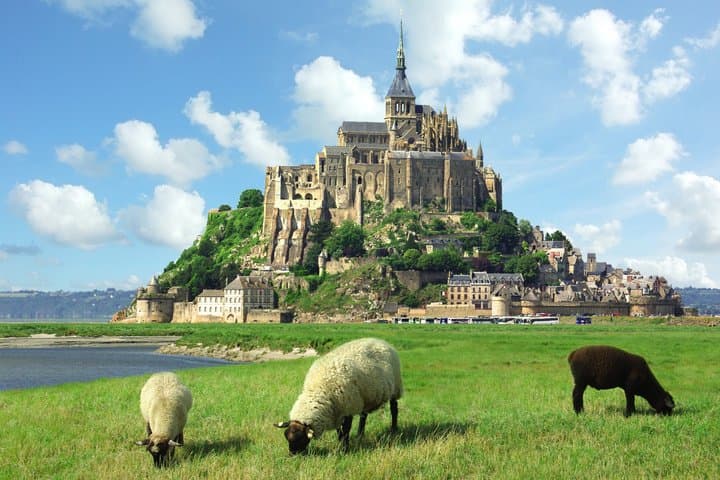 Tour privato guidato a Parigi, Etretat e Mont Saint Michel — foto 2