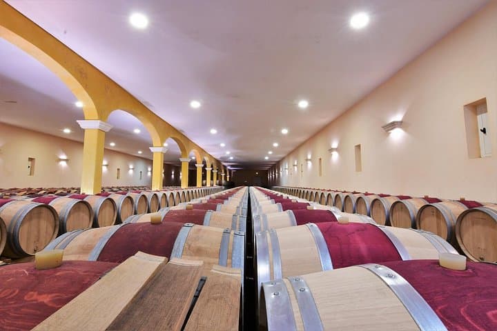 Tour in E-Bike tra i Vini di Saint-Emilion — foto 4