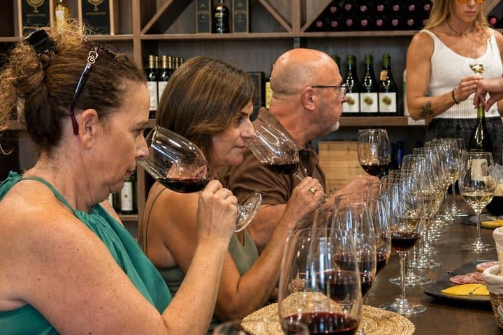 Dégustation de vins andalous à Málaga : 5 vins et spécialités locales — photo 4