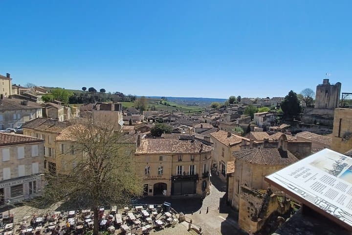 Mezza giornata a Saint-Emilion, degustazione di vini e tour — foto 4