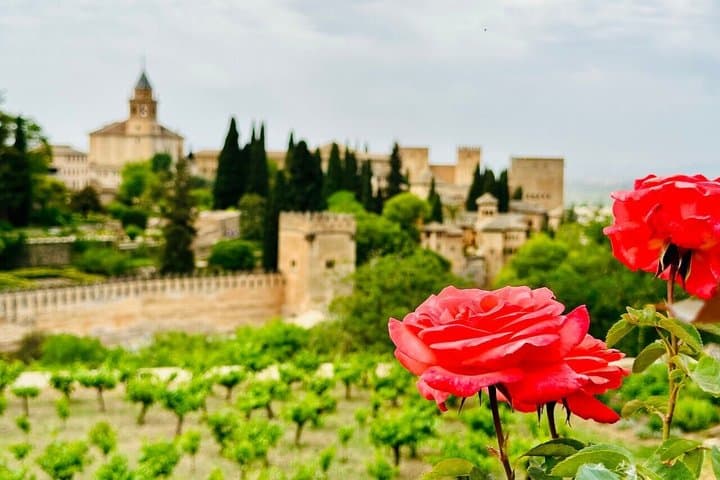 Tour guidato a piedi del Palazzo dell'Alhambra e dei Giardini del Generalife — foto 4