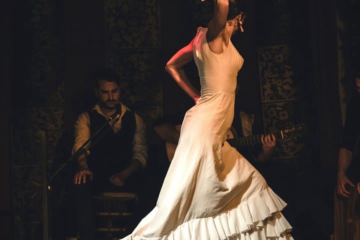 Spectacle de Flamenco Andalou à Séville