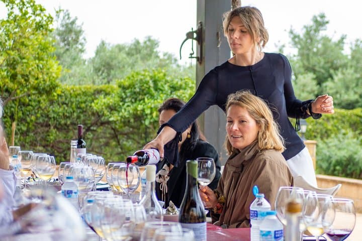 Mijas Bio-Weinberg Tour: Wein-, Öl- und Tapas-Verkostung — Foto 2