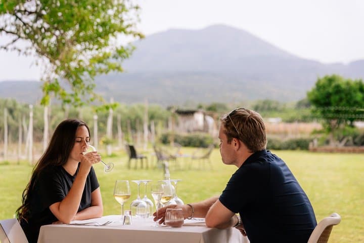Tour Guidato di Pompei e Passeggiata a Cavallo sul Vesuvio con Pranzo — foto 5