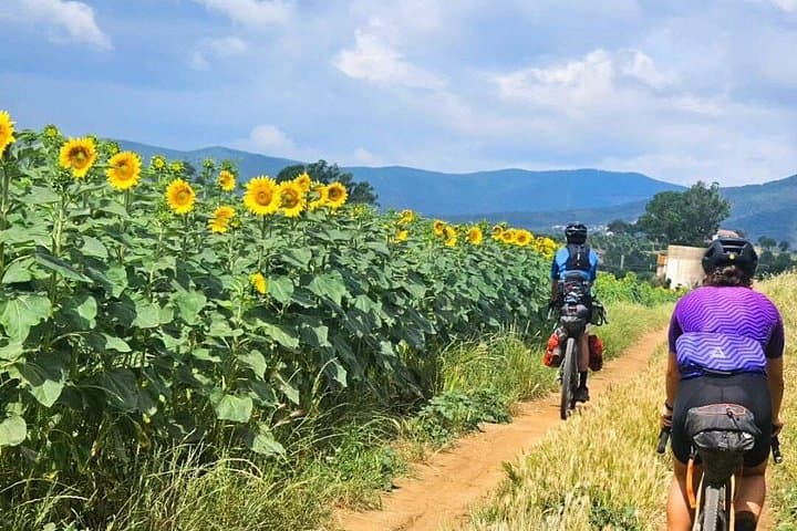 Noleggio di Gravel Bike a Pisa e in Toscana