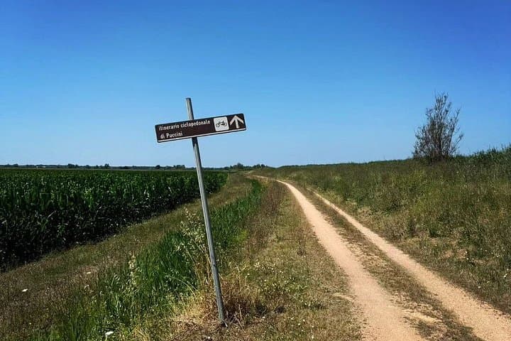 Noleggio di Gravel Bike a Pisa e in Toscana — foto 2