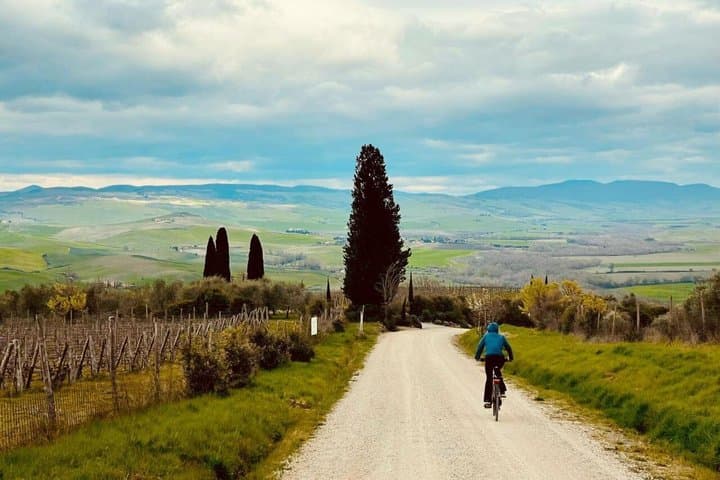 Noleggio di biciclette da corsa a Pisa e in Toscana