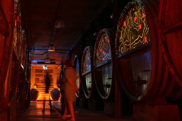 Tour della cantina immersivo - degustazione e brunch alsaziano — foto 5