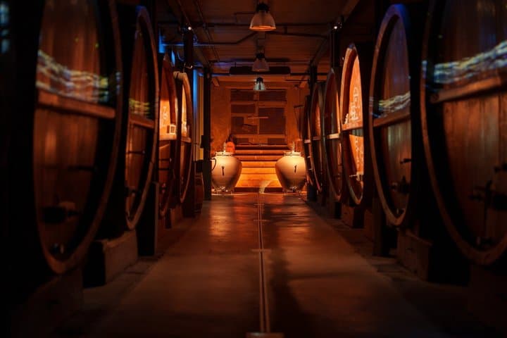 Tour della cantina immersivo - degustazione e brunch alsaziano — foto 3