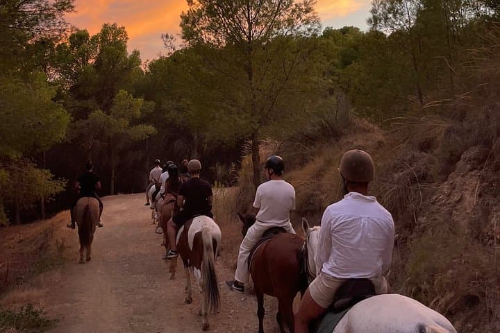 Tour a Cavallo nel Parco Naturale di Malaga — foto 3