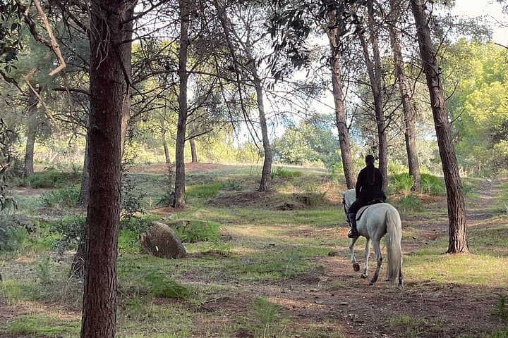 Tour a Cavallo nel Parco Naturale di Malaga — foto 4