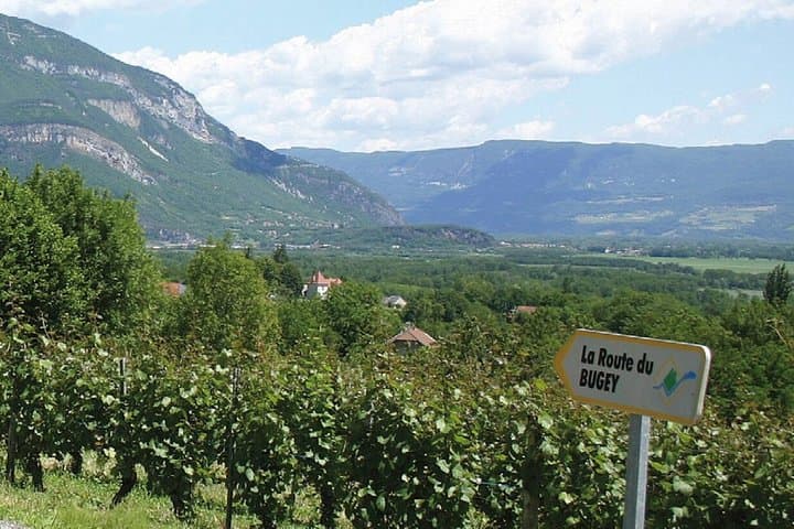 Excursión de un día a Pérouges desde Lyon — foto 5