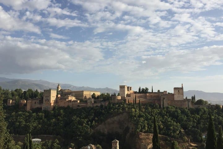 Biglietto Generale Alhambra Palazzi Nasridi Alcazaba e Generalife — foto 3
