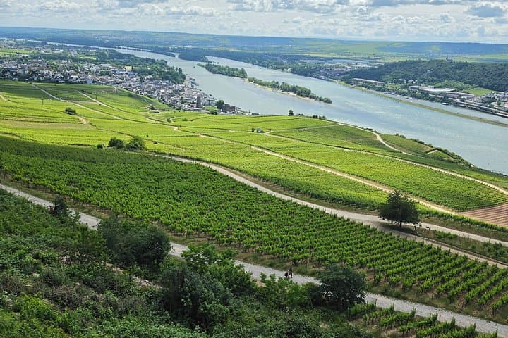 Rheintal – Rheinisches Tal: Burgen, Weinberge & Rheinblicke — Foto 3
