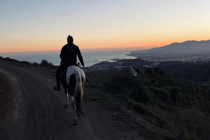 Excursion à cheval dans le Parc Naturel de Malaga