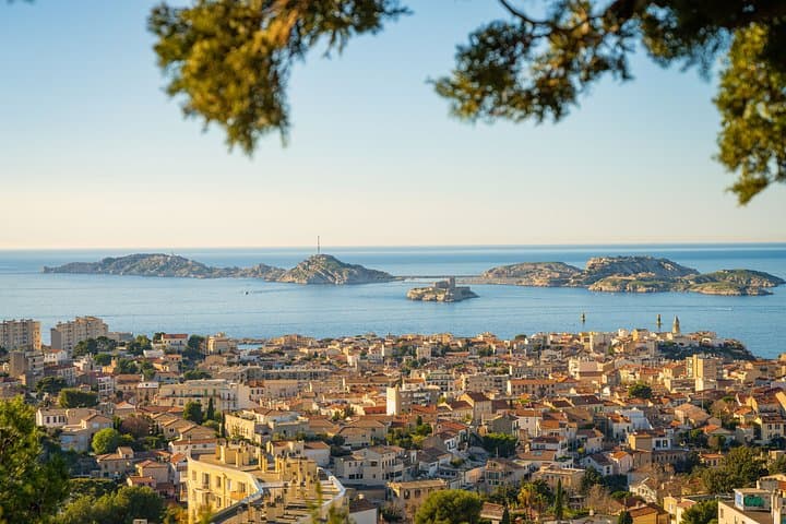 Escursione ai punti salienti di Marsiglia dal porto crocieristico di Marsiglia