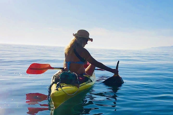 Excursion en kayak de 2 heures dans le parc naturel de Cerro Gordo, La Herradura