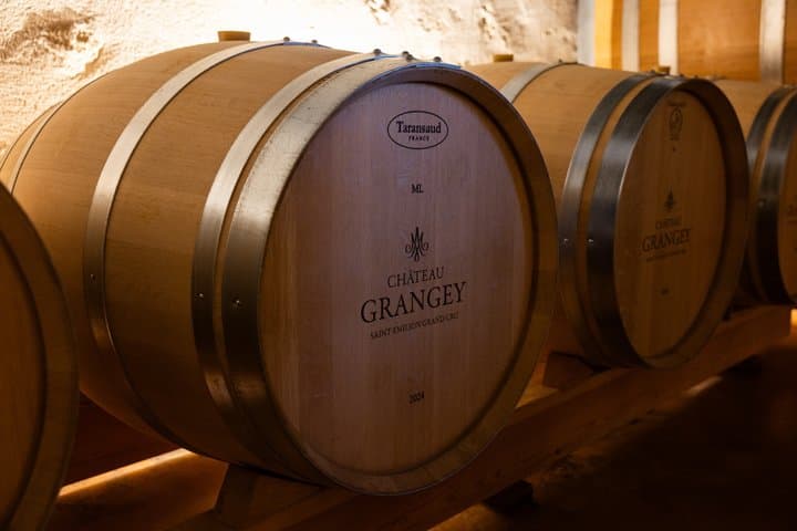 Tour pomeridiano a Saint-Émilion - 2 Grand cru e aperitivo francese — foto 5