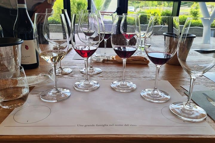 Esperienza di Degustazione di Vini Barolo da Torino — foto 4