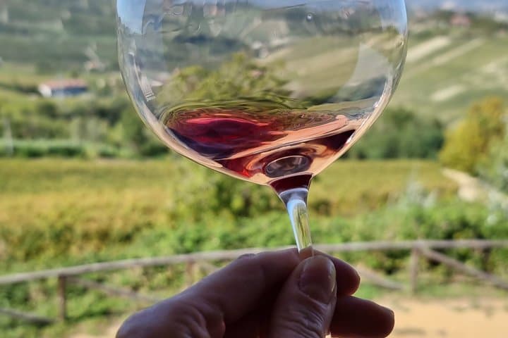Esperienza di Degustazione di Vini Barolo da Torino