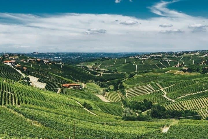 Esperienza di Degustazione di Vini Barolo da Torino — foto 2