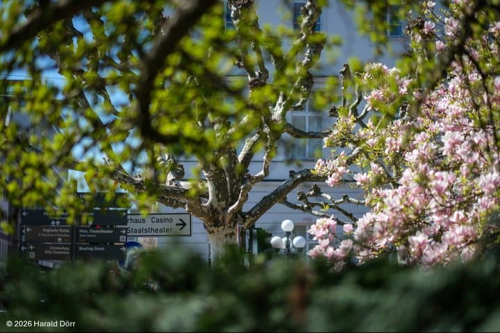 Recorrido por la ciudad sobre el amor en y hacia Wiesbaden
