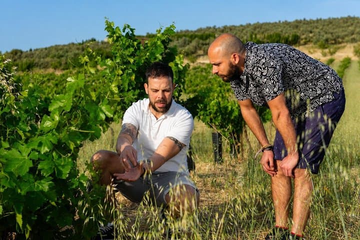 Tour di Vini e Oli d'Oliva Biologici da Málaga — foto 4
