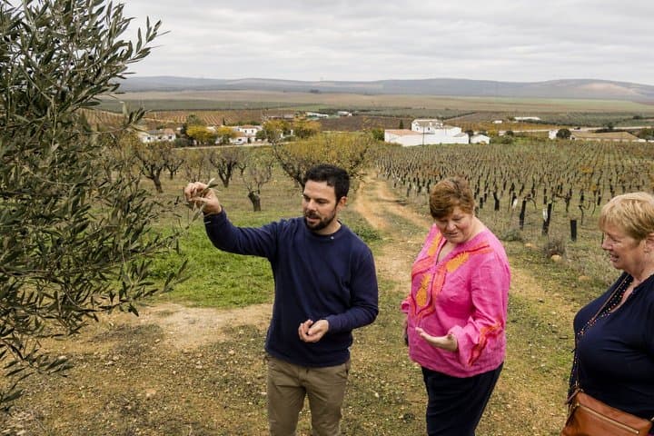 Tour di Vini e Oli d'Oliva Biologici da Málaga — foto 5