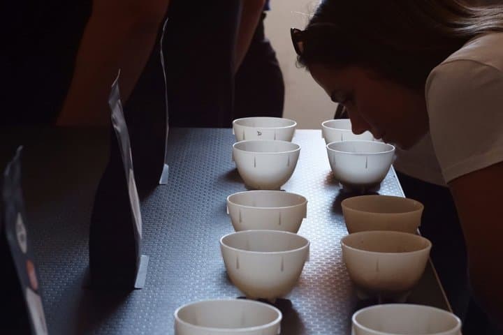 Esperienza di Degustazione di Caffè Italiano a Torino — foto 4