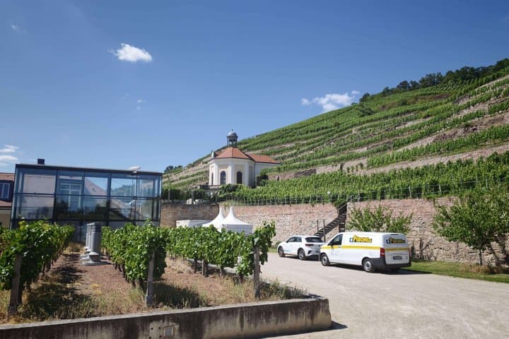 Meißen und seine Weinberge TAGESTOUR — Foto 5