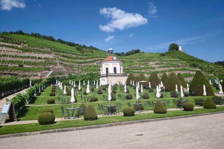 Meißen und seine Weinberge TAGESTOUR — Foto 2