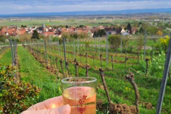 Tour guiado por el sendero del vino de Schweigen Rechtenbach — foto 5