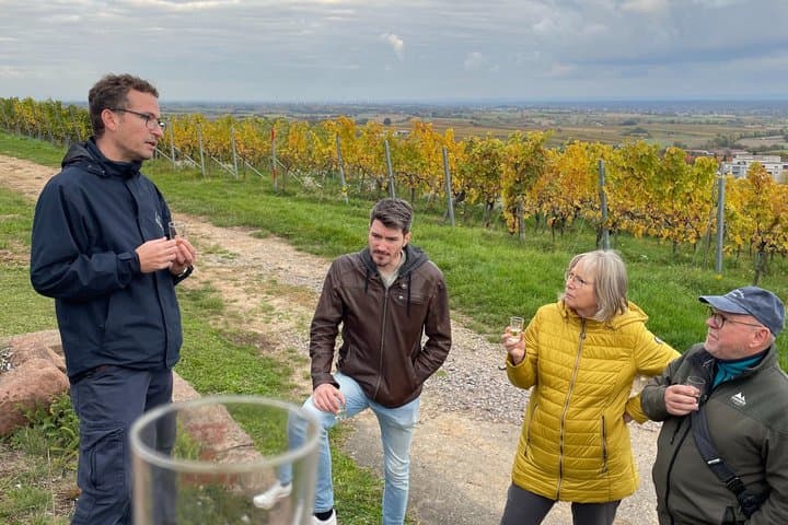 Tour guiado por el sendero del vino de Schweigen Rechtenbach — foto 2