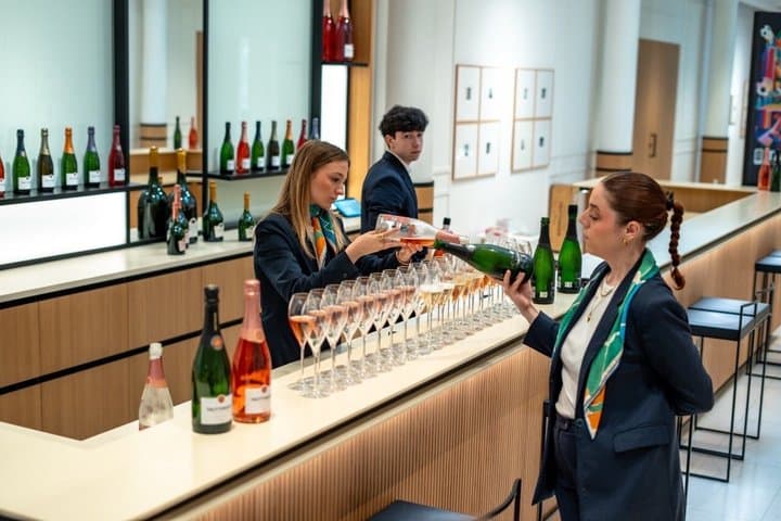Icônes du Champagne : Visite Privée de Veuve Clicquot, Ruinart & Moët — photo 3