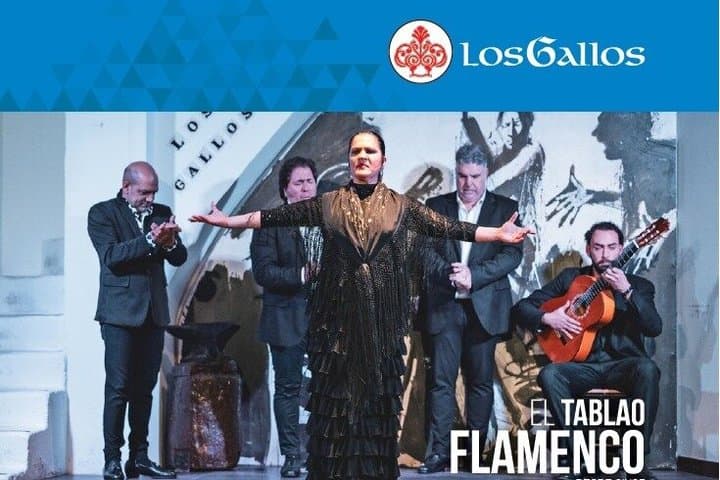 Biglietto d'ingresso per lo spettacolo di Flamenco Los Gallos