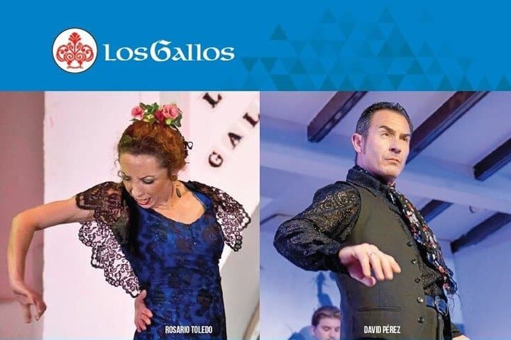 Biglietto d'ingresso per lo spettacolo di Flamenco Los Gallos — foto 4