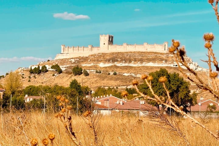 Excursion d'une journée de Madrid aux vignobles de Ribera del Duero — photo 4