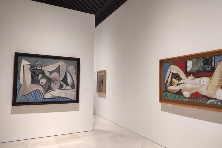 Visita Guiada al Museo Picasso de Málaga y Casa Natal