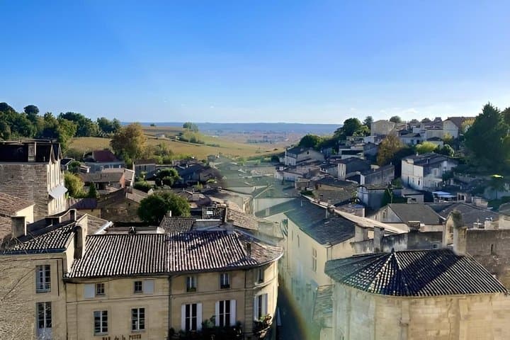 Tour privato del vino a Saint-Emilion da Bordeaux — foto 4