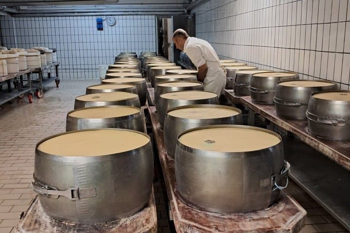 Private Modena Hills Tour Parmigiano DOP Essig DOP Mittagessen — Foto 2