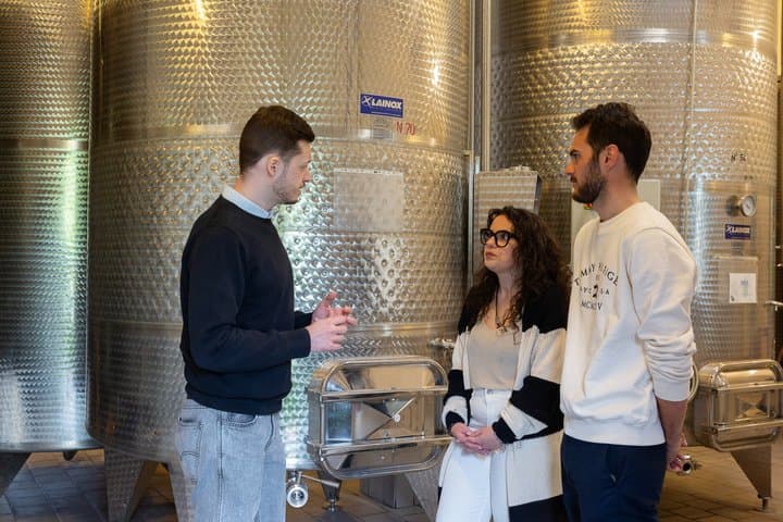 Tour Privado de Vino en Langhe con Sommelier